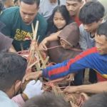 Relawan TAH Sambangi Anak-Anak Korban Banjir Situbondo